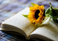 语录短句(郑强教授有哪些经典语录)