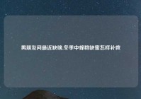 男朋友问最近缺啥,冬季中蜂群缺蜜怎样补救