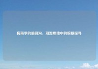 梅雨季的脑回沟，潮湿思绪中的蜿蜒探寻