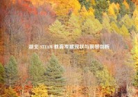 湖北 STEAM 教育发展现状与前景剖析