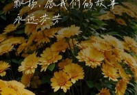 七夕情感说说心情短语：让爱情在文字中绽放浪漫