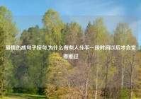 爱情伤感句子短句,为什么有些人分手一段时间以后才会觉得难过