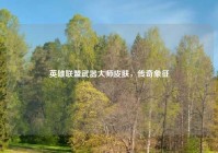 英雄联盟武器大师皮肤，传奇象征