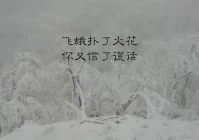 深夜伤感短句配图(一个女人深夜喝酒的伤感文章)