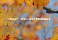 三国杀中严畯与田丰，乱世智谋展现别样风采