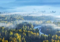 安全感的句子说说(有哪些失望至极的句子推荐)