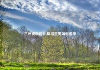 兰州脱单酋长,情感直男如何脱单