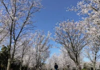 爱情文案长文(丈量爱情文案)