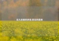 花儿恋爱的拼音,赏花的意思