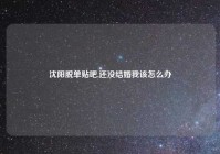 沈阳脱单贴吧,还没结婚我该怎么办