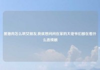 黑猪肉怎么哄女朋友,我就想问问在家的大佬爷们都在看什么连续剧