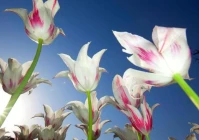 浪漫的爱情句子(你们有哪些珍藏好久的句子)