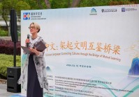 搭建国际交流平台，助力全球经济与文化融合