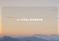 CSGO 中中国人被骂现象剖析