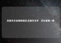 恋爱先生张明阳搞笑,恋爱先生罗玥买车是哪一集