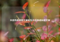 抖音伤感感情文案短句,抖音伤感标题文案