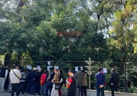 广州天河公园相亲时间、地点全解析，看这篇就够了！