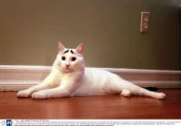 八字干净短句伤感(关于爱情美好的句子)