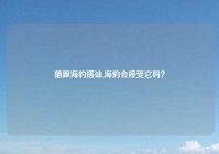 猫跟海豹搭讪,海豹会接受它吗？