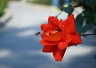 伤感短句 八字(再没有知情人可来往)