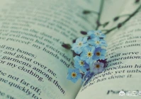 个性签名简短英文(有哪些好听易学的经典英文歌曲推荐)