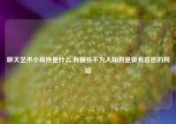 聊天艺术小程序是什么,有哪些不为人知但是很有意思的网站