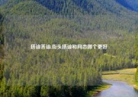 搭讪答讪,街头搭讪和网恋哪个更好