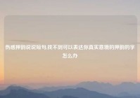 伤感押韵说说短句,找不到可以表达你真实意境的押韵的字怎么办