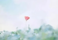 个性签名的经典字句(60岁男人个性签名)