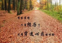 心情说说感悟人生短句(打工说说心情短语人生感悟)