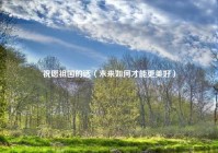 祝愿祖国的话（未来如何才能更美好）