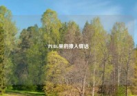 PUBG里的撩人情话