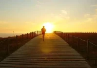 心酸到爆的伤感句子(受委屈无奈心酸的句子)