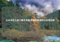 公众号怎么进入聊天页面,有哪些靠谱的公众号征稿