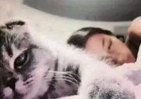 伤感唯美十二个字短句(一个人徘徊在车站伤心的心情说说)