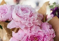 伤感爱情短句(怎样的情话能打动女朋友)