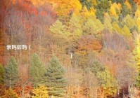 亲妈后妈（ कौन सी है परिवार की रीढ़）