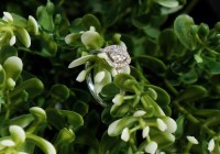 山东威海征婚平台推荐：百姓网助你实现真爱梦想