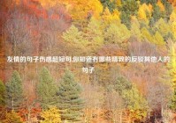 友情的句子伤感超短句,你知道有哪些精致的反驳其他人的句子