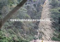 秀爱情说说我的心里话,但不知道该对谁说