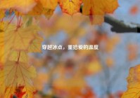 穿越冰点，重拾爱的温度