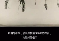伤感的背景图(哪句话可以证明你是dnf老玩家呢)