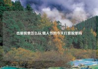 恋爱脱单怎么玩,情人节的今天打算脱单吗