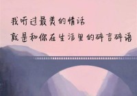 挽回爱情的感人句子：让你重新赢回爱人的心