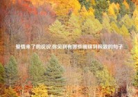 爱情来了的说说,你见到有哪些暧昧到极致的句子