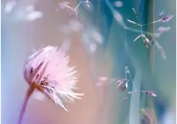 心情说说大全(暴走的心情说说)