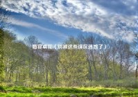 婚宴桌花（别被这些误区迷惑了）