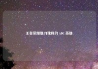 王者荣耀魅力独具的 ADC 英雄