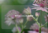 对 WWW.52SSS.COM 的探讨