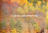 CSGO 防守中，皮肤构成独特风景线